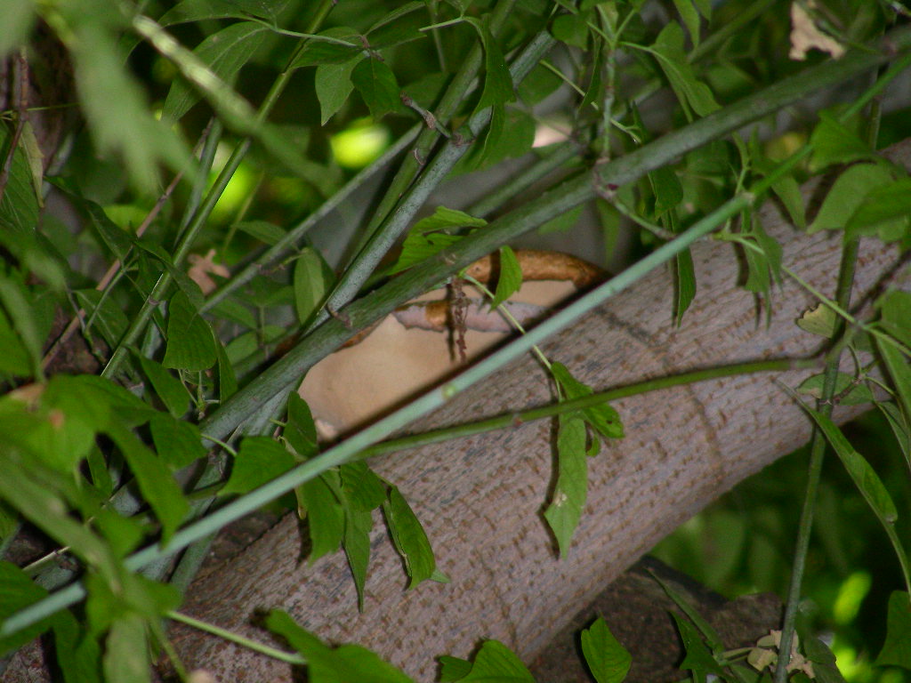 Eppure ti ho visto ...!!!(quiz)